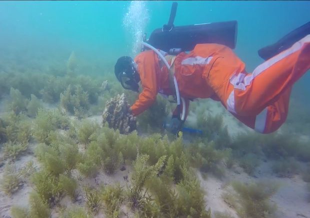 yl6809永利(中国游)官方网站