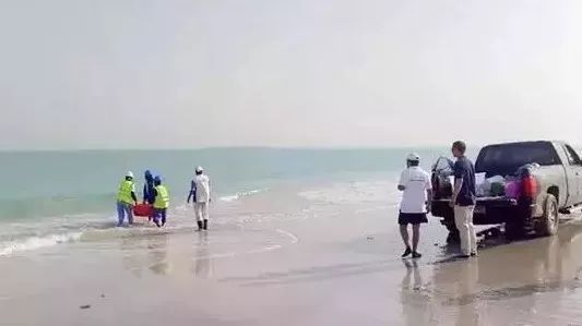 yl6809永利(中国游)官方网站