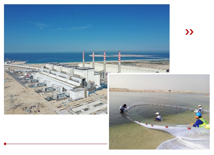 yl6809永利(中国游)官方网站