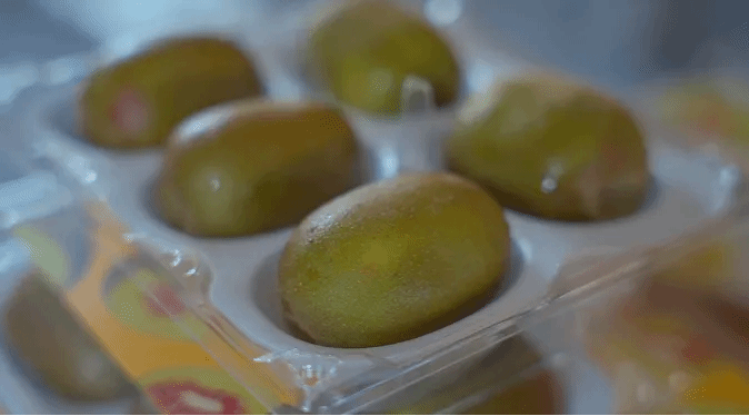 yl6809永利(中国游)官方网站