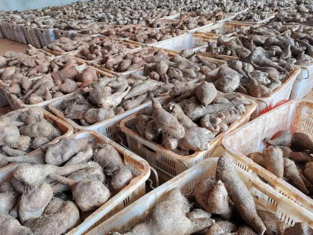 yl6809永利(中国游)官方网站