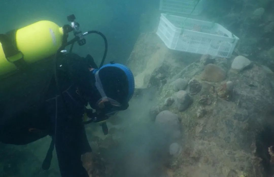 yl6809永利(中国游)官方网站