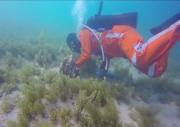 yl6809永利(中国游)官方网站