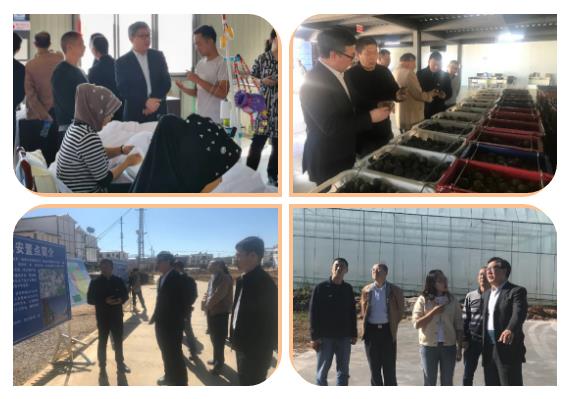 yl6809永利(中国游)官方网站