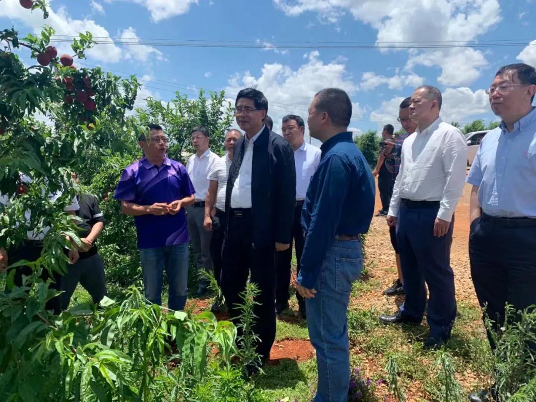 yl6809永利(中国游)官方网站