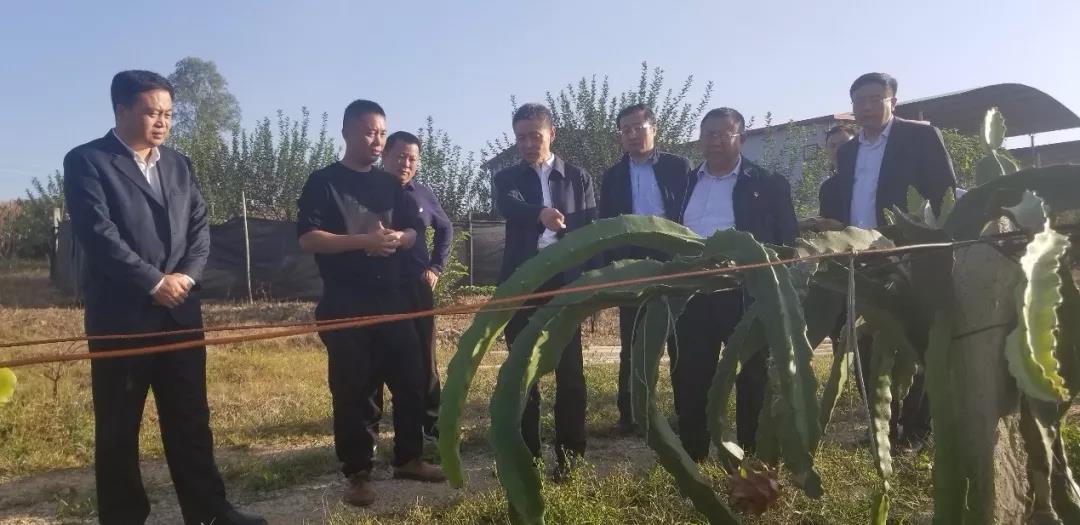 yl6809永利(中国游)官方网站