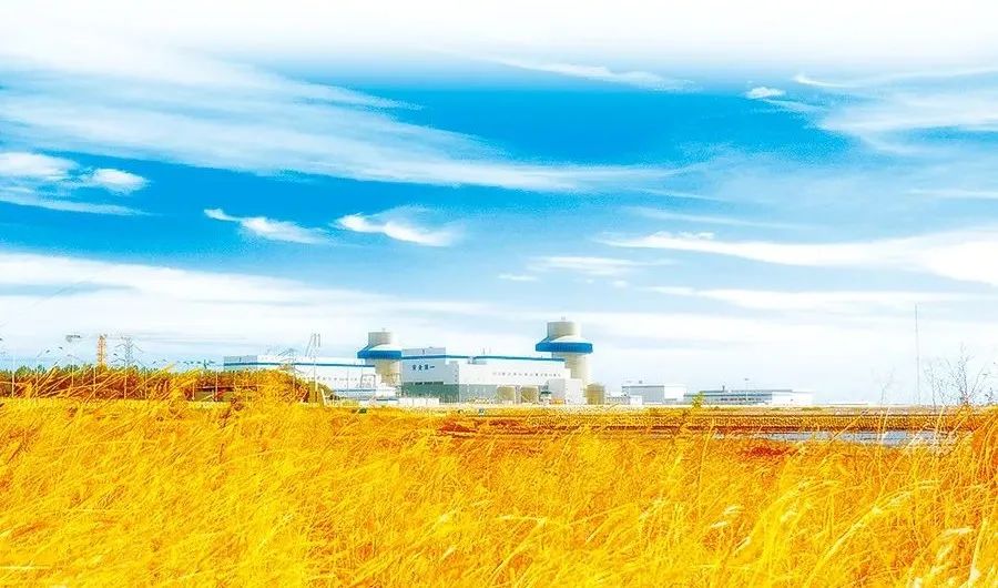 yl6809永利(中国游)官方网站