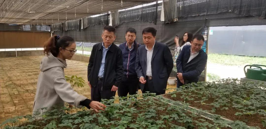 yl6809永利(中国游)官方网站