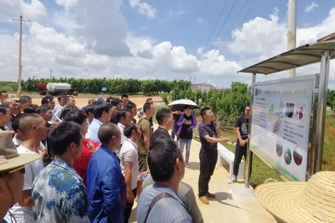 yl6809永利(中国游)官方网站