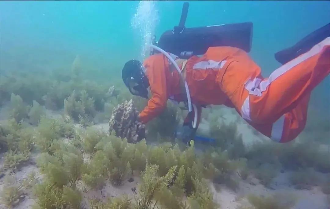 yl6809永利(中国游)官方网站